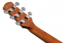 Гитара электроакустическая IBANEZ AAD50CE-LG 0