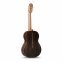 Класична гітара Alhambra Iberia Ziricote BAG 4/4 0