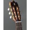 Класична гітара Alhambra Iberia Ziricote BAG 4/4 3