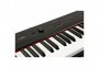 Цифрове піаніно Artesia Performer Black (PA88W) 4