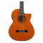 Классическая гитара WASHBURN C5CE 4