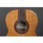 Классическая гитара Alhambra Iberia Ziricote BAG 4/4 2