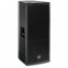 Акустическая система Peecker Sound XTD1015/A 0