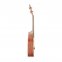 Укулеле концерт Prima M340T (Solid Spruce / African Rosewood) 1