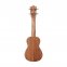 Укулеле тенор Prima M328T (Solid Spruce / Acacia) 2