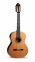 Классическая гитара Alhambra 10 Premier в кейсе 4/4 0