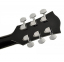 Акустическая гитара Richwood RA-12-BK 1