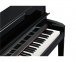 Цифровое пианино Kurzweil CUP1 BP 5