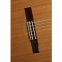 Класична гітара Alhambra Iberia Ziricote BAG 4/4 4