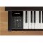 Цифровое пианино Kawai CN39RW 2
