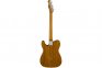 Електрогітара Fender Custom Shop 2018 Artisan Ziricote Tele (9235000595) 0