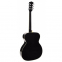 Акустическая гитара Richwood RA-12-BK 3