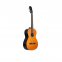 Класична гітара Gewa Cataluna Basic NT PS510150742 0