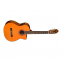 Классическая гитара WASHBURN C5CE 2