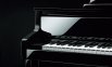 Цифровое пианино Casio GP-500 + блок питания 2