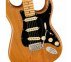 Электрогитара FENDER AMERICAN PRO II STRATOCASTER MN ROASTED PINE  3