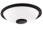 Глюкофон Meinl Nino Mini Melody Steel Tongue Drum NINO980WH (6