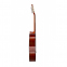 Классическая гитара Alfabeto SAPELE CS39G + чехол 5
