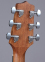 Акустична гітара Takamine GD11M NS 2