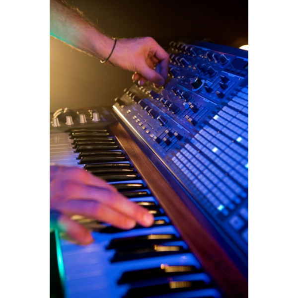 Аналоговий синтезатор Arturia MatrixBrute+Flightcase 5