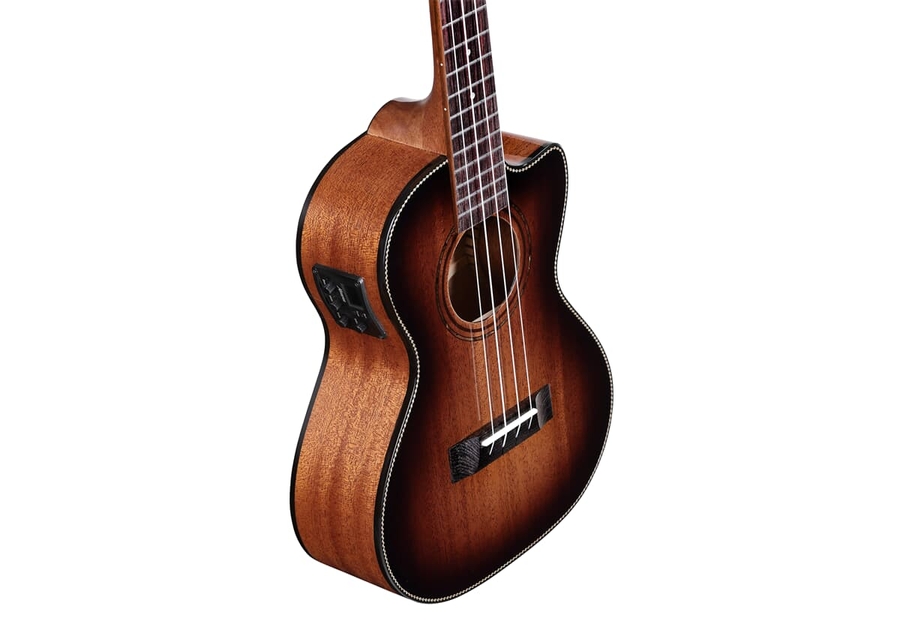 Укулеле Alvarez  AU66TCESHB  3
