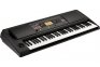Синтезатор Korg EK-50 L  1