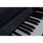 Цифровое пианино Casio AP-650BK + блок питания 3