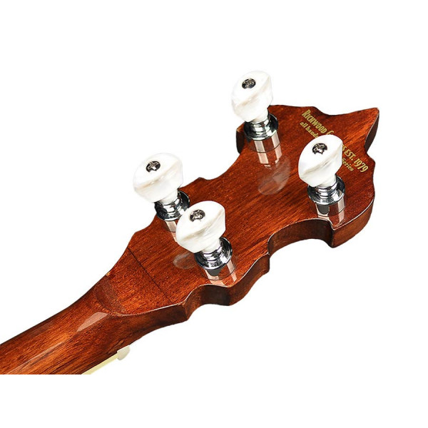 Банджо Richwood RMB-605 5