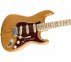 Електрогітара FENDER AMERICAN PROFESSIONAL LIMITED EDITION STRATOCASTER MN AGN  2
