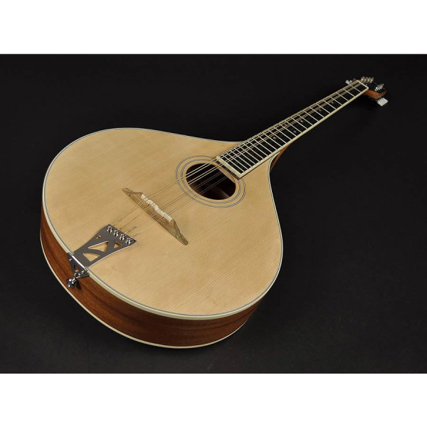 Бузукі Richwood RIBZ-40 3