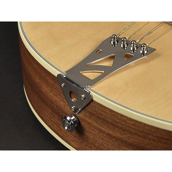 Бузукі Richwood RIBZ-40 7