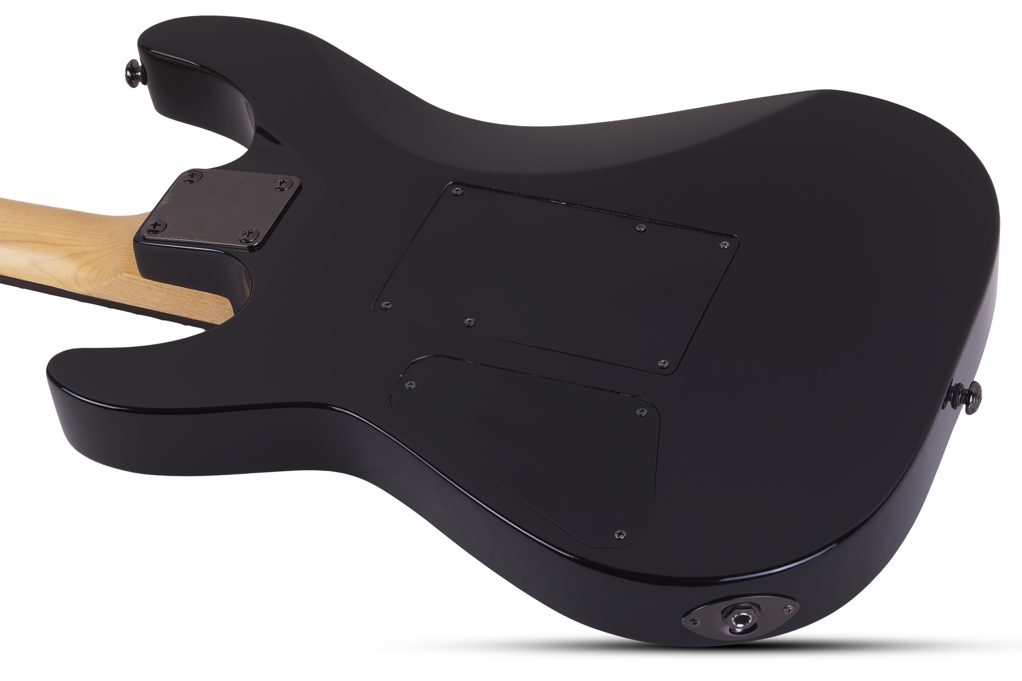 C-1 SGR FR BY SCHECTER BLK - Электрогитара 6