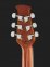 Электроакустическая гитара Applause AB24IIP-KOA Mid Cutaway Koa OV511330 1