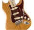 Електрогітара FENDER AMERICAN PROFESSIONAL LIMITED EDITION STRATOCASTER MN AGN  3