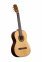 Класична гітара Prima DSCG603 Classic Guitar 1