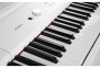 Цифровое пианино Artesia PA-88W White 0