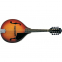 Мандоліна WASHBURN M1S 0