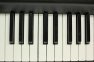 Клавішник цифровий CASIO WK-110 2