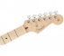 Електрогітара FENDER AMERICAN PROFESSIONAL LIMITED EDITION STRATOCASTER MN AGN  4