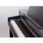 Цифровое фортепиано Kawai CN37 RW 1