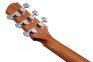 Гітара акустична IBANEZ AAD50-LG 0