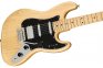 Электрогитара Fender Alternate Reality Sixty-Six Mn Natural (145022321) 1