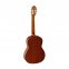 Гитара классическая Ortega R121 0