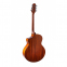 Электроакустическая гитара Alfabeto Solid EleganceEQ Awesome + чехол 0