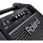 Гітарний комбопідсилювач Roland PM100 4