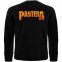 Футболка з довгим рукавом Pantera (гітара у полум'ї) 0