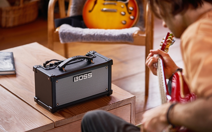 Стерео гитарный усилитель BOSS Dual Cube LX 5