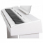 Цифрове піаніно Orla Stage Studio DLS (Білий) 1