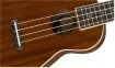Укулеле Fender Ukulele Seaside Soprano Natural (971620522) 0