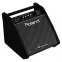 Гітарний комбопідсилювач Roland PM100 2